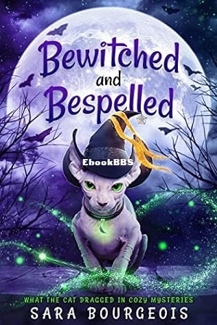 Bewitched and Bespelled.jpg
