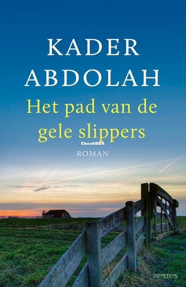 pad van gele slippers.jpg