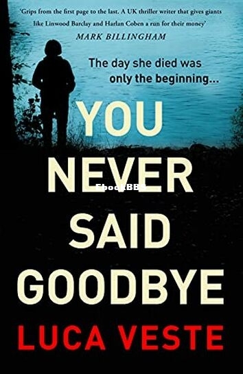 You Never Said Goodbye.jpg