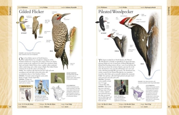 Birds-of-North-America-2nd-Edition - 2.jpg