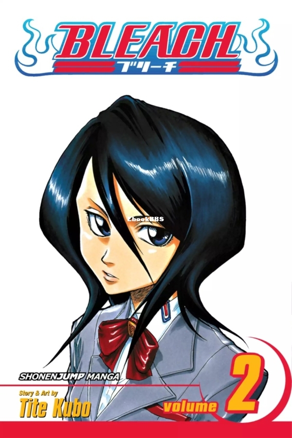 6777978-bleach 2.jpg