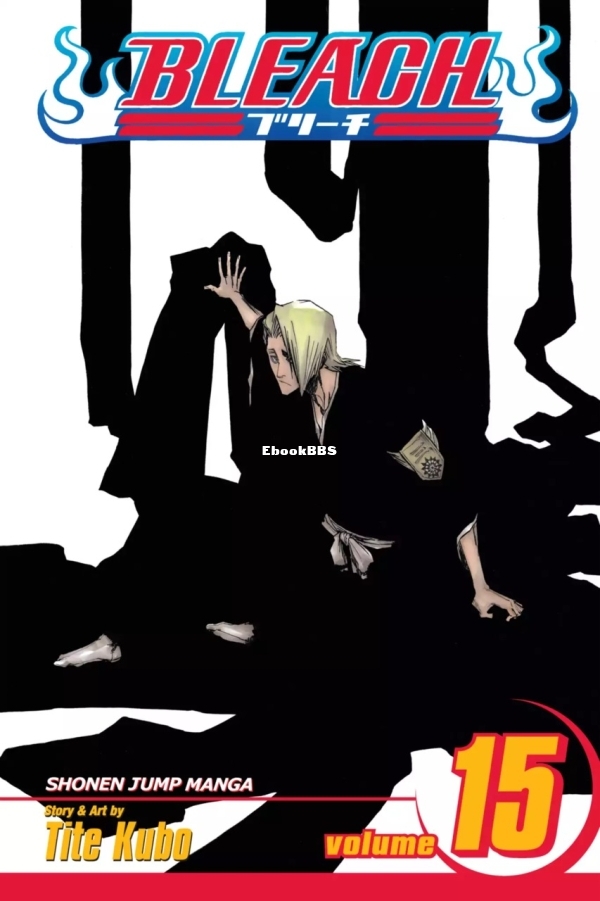 6781596-bleach 15.jpg