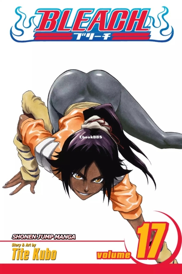 6781605-bleach 17.jpg