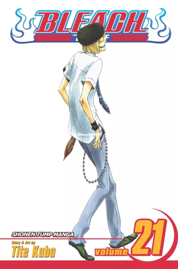 6781619-bleach 21.jpg