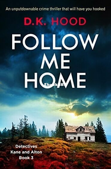 Follow Me Home.jpg