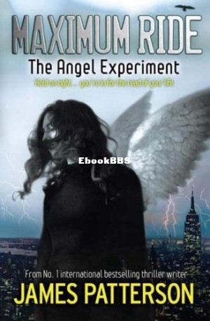 The Angel Experiment.jpg