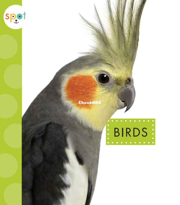 Birds (Spot Pets) - 1.png