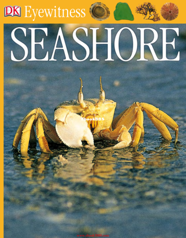 DK Eyewitness Books - Seashore (2004) - 1.png