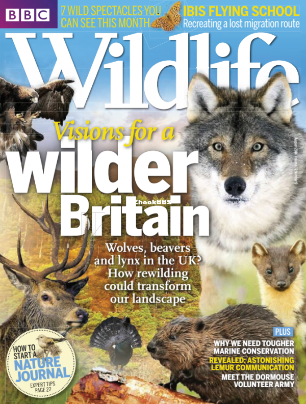BBC Wildlife 2014 09.png