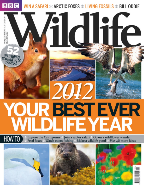 BBC Wildlife 01.2012 - 1.png