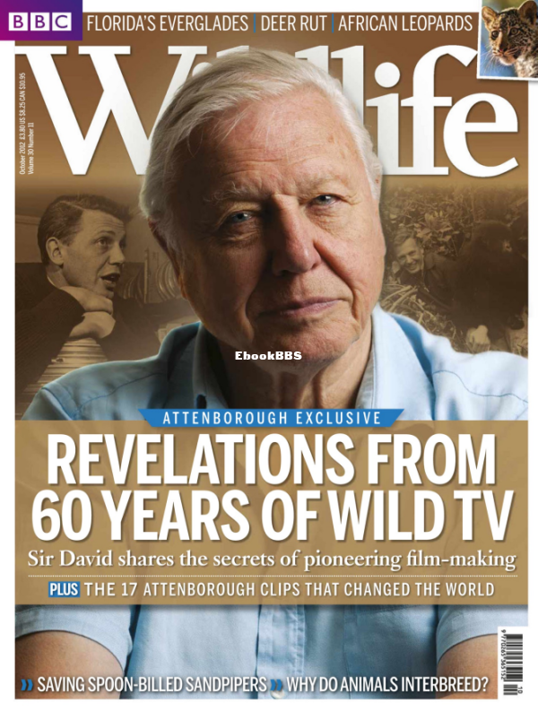 BBC Wildlife 11.2012 - 1.png