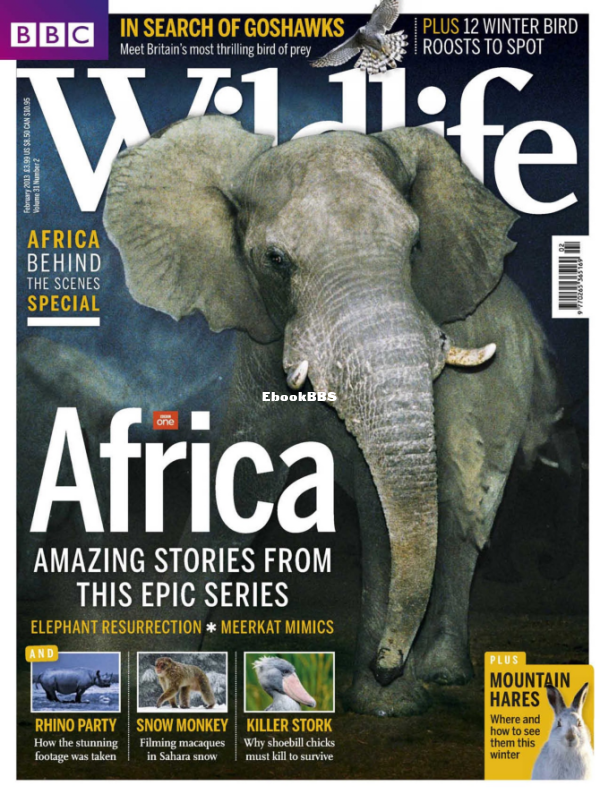 BBC Wildlife 02.2013 - 1.png