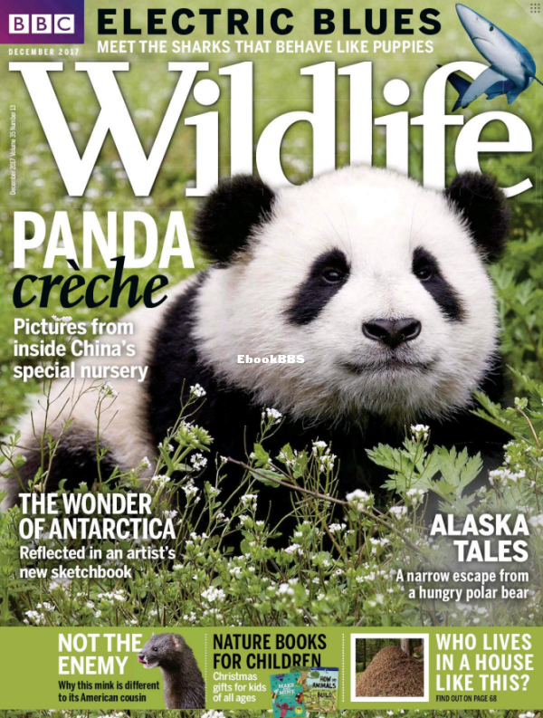 BBC_Wildlife 2017-13 - 1.png