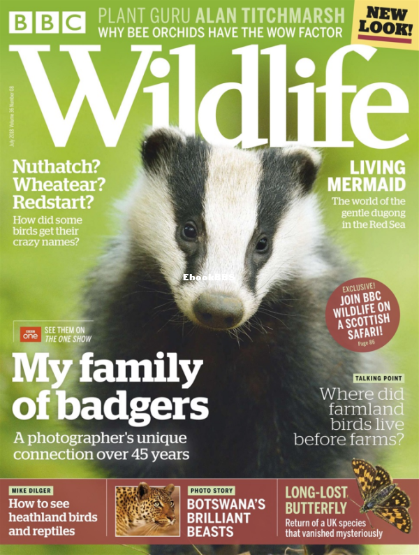 BBC Wildlife 08.2018 - 1.png