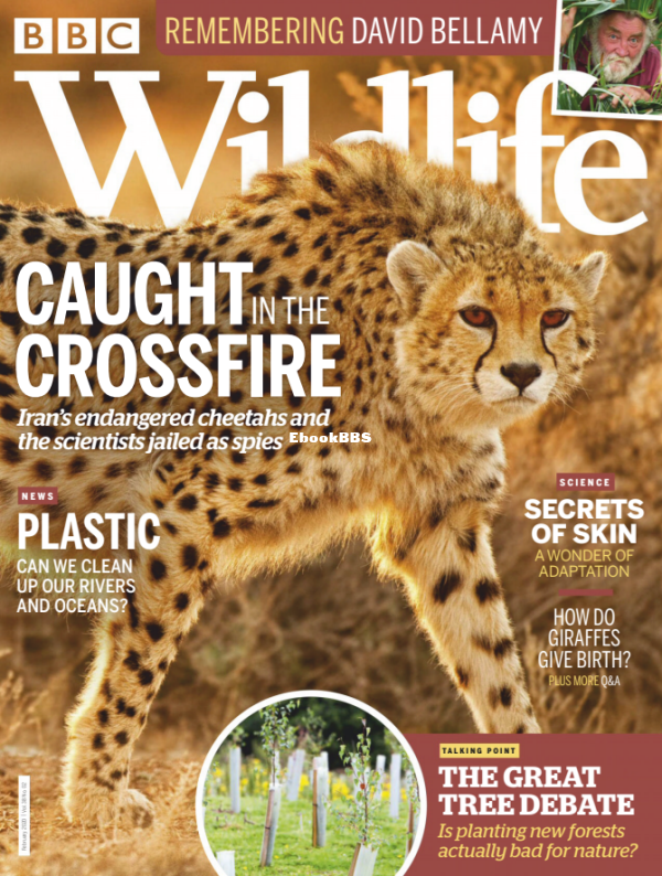 BBC Wildlife - 02.2020 - 1.png