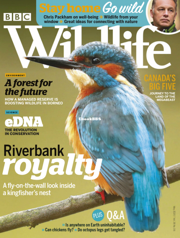 BBC Wildlife 06.2020 - 1.png