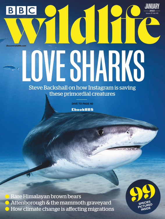 BBC Wildlife - 01.2022 - 1.png