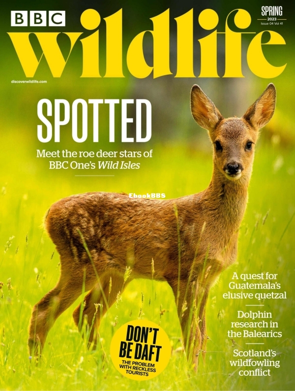 BBC Wildlife 05.2023 - 1.jpg