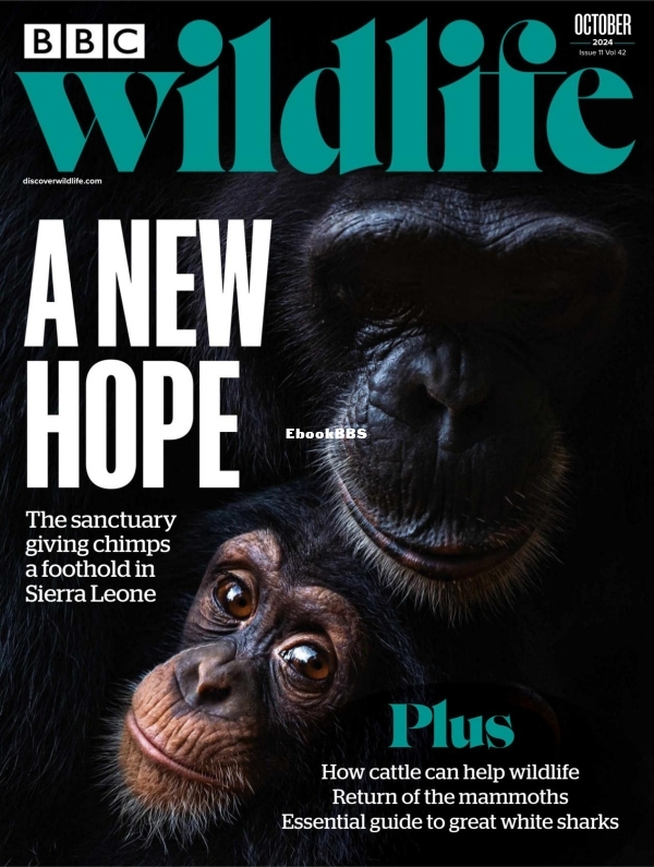 BBC Wildlife - 11.2024 - 1.jpg