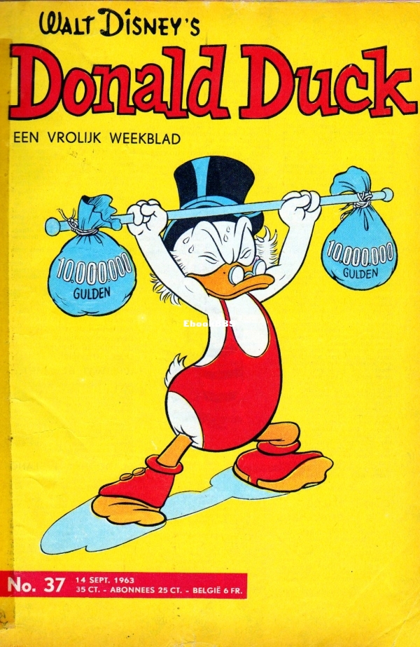 37.jpg