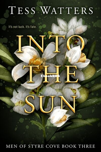 Into the Sun.jpg