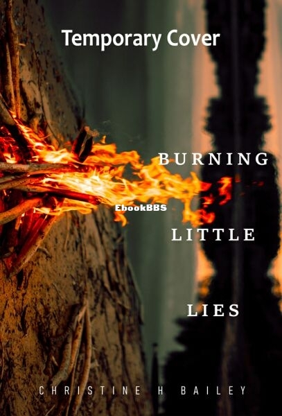 Burning Little Lies.jpg