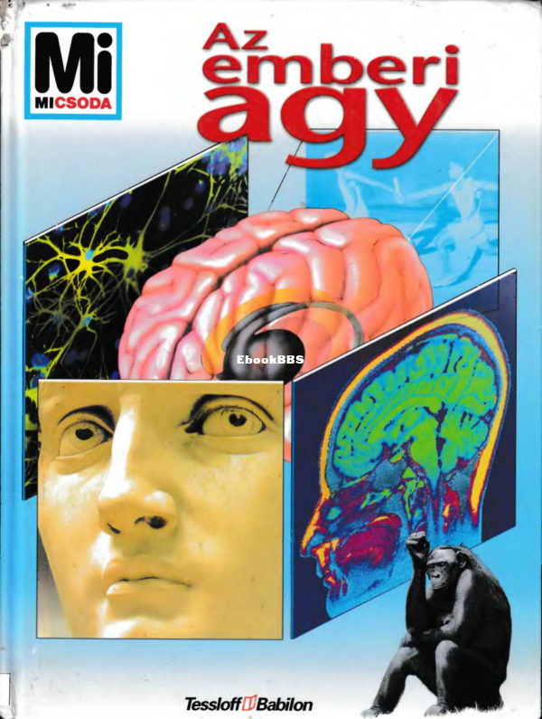 Mi micsoda 64 Rösziger M Az emberi agy - 1.png