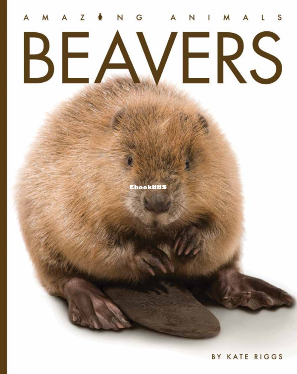 Beavers (Amazing Animals) - 1.png