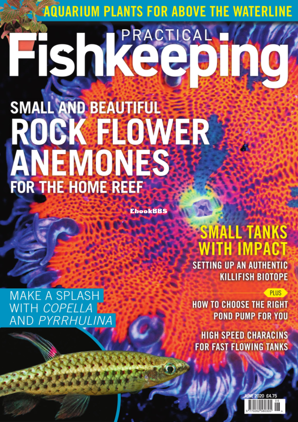 PracticalFishkeepingJune2020 - 1.png