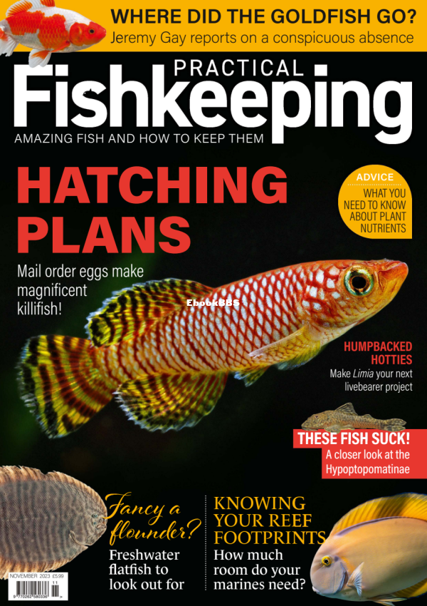 Practical Fishkeeping 11.2023 - 1.png