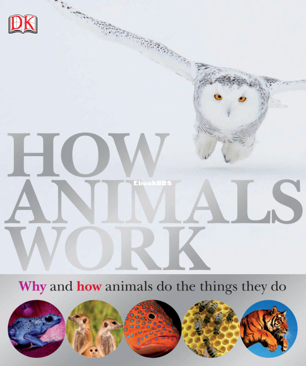 DK How animal work - 1.png