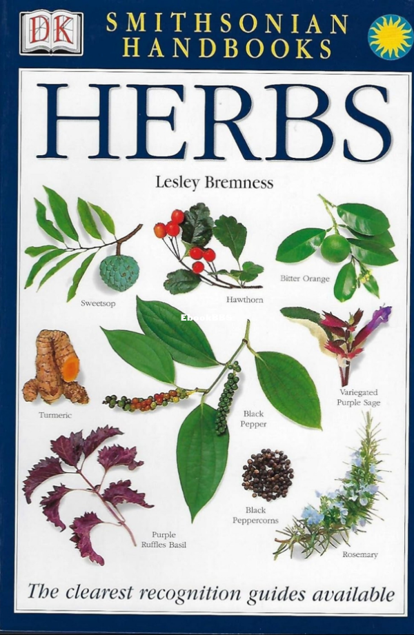 Herbs - 1.png
