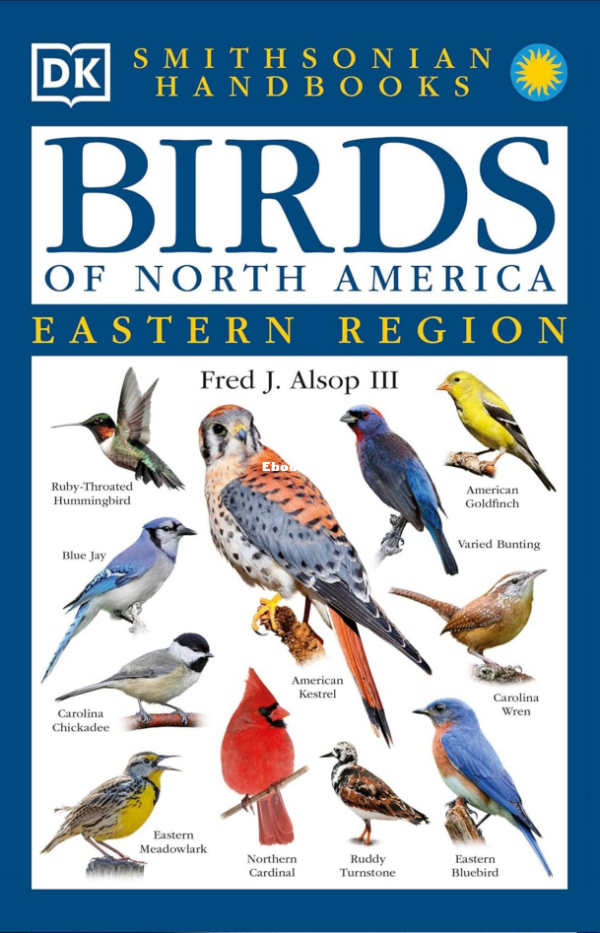 Birds of North America-eastern region - 1.png