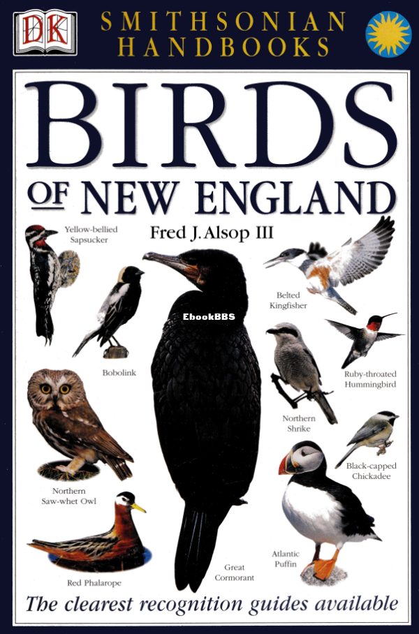 Birds of New England - 1.png