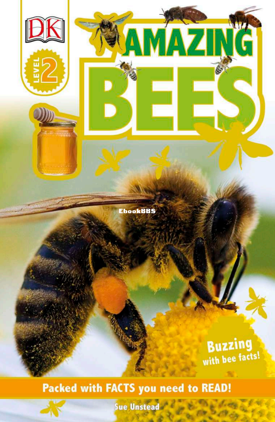 AMAZING BEE - 1.png