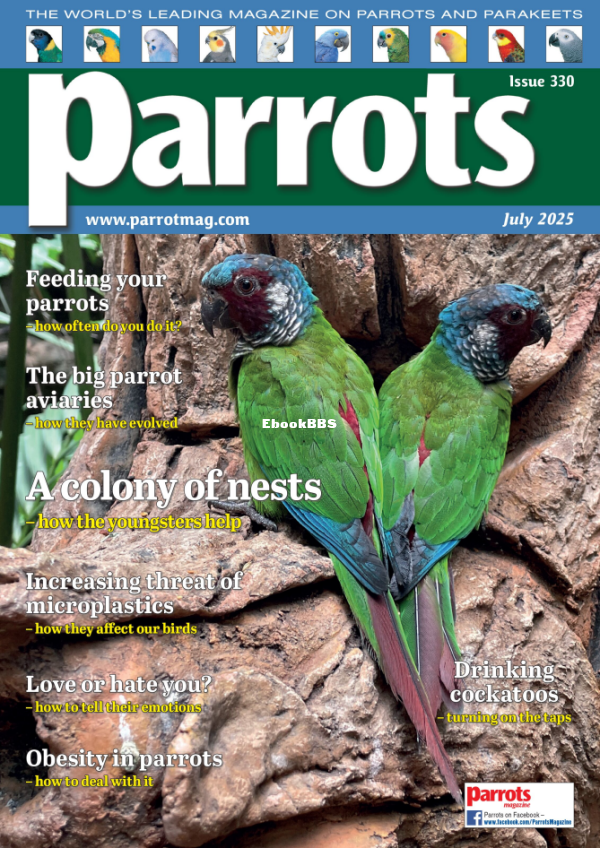 Parrots_-_July_2025 - 1.png