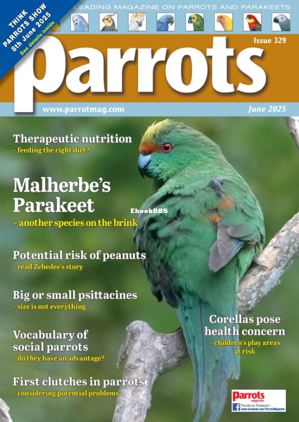 Parrots_-_June_2025 - 1.png