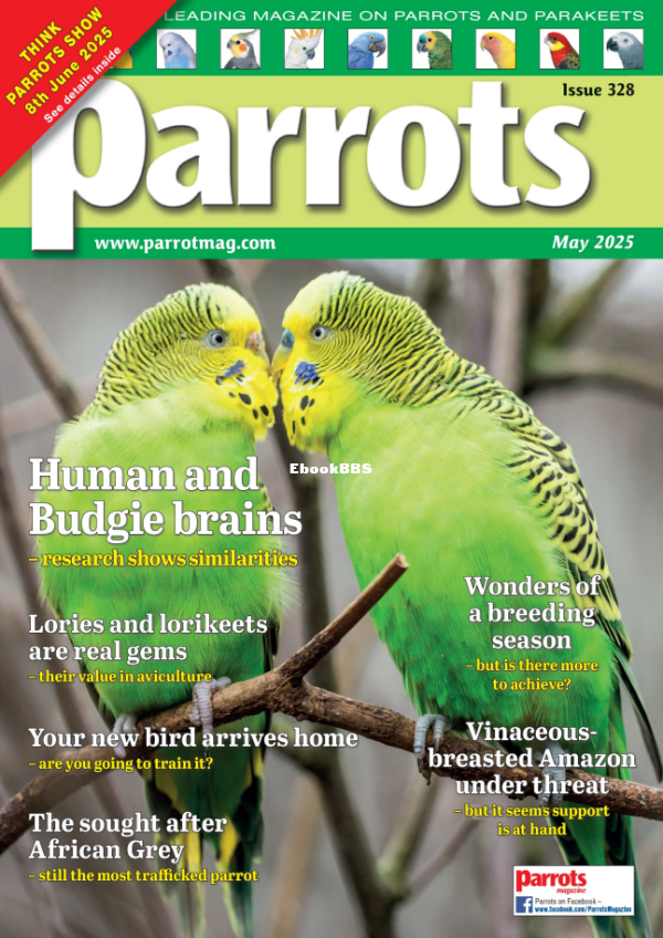 Parrots_-_May_2025 - 1.png