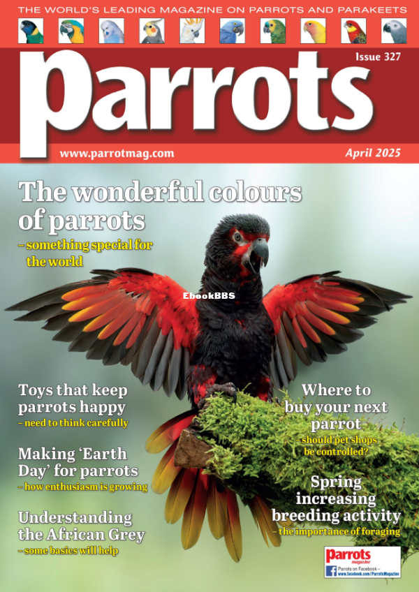 Parrots_-_April_2025 - 1.png