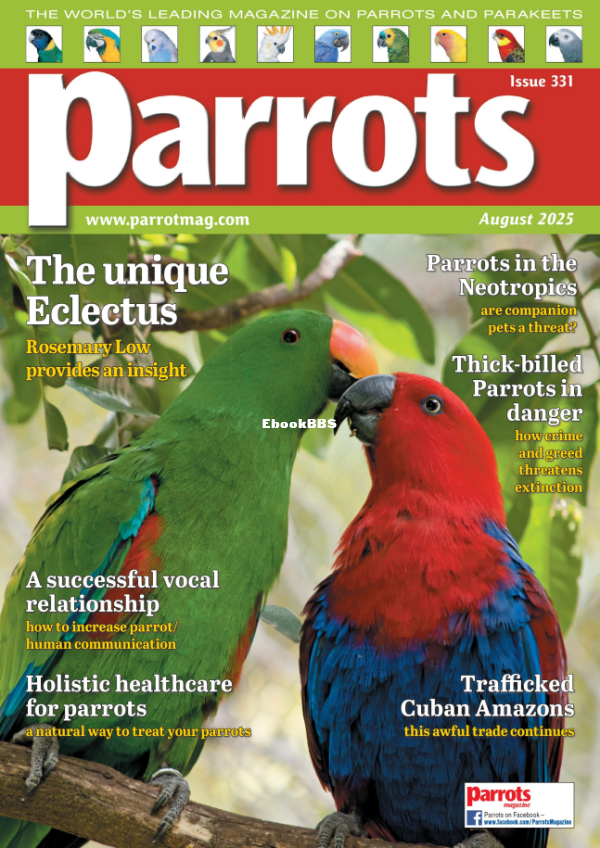 Parrots_-_August_2025 - 1.png