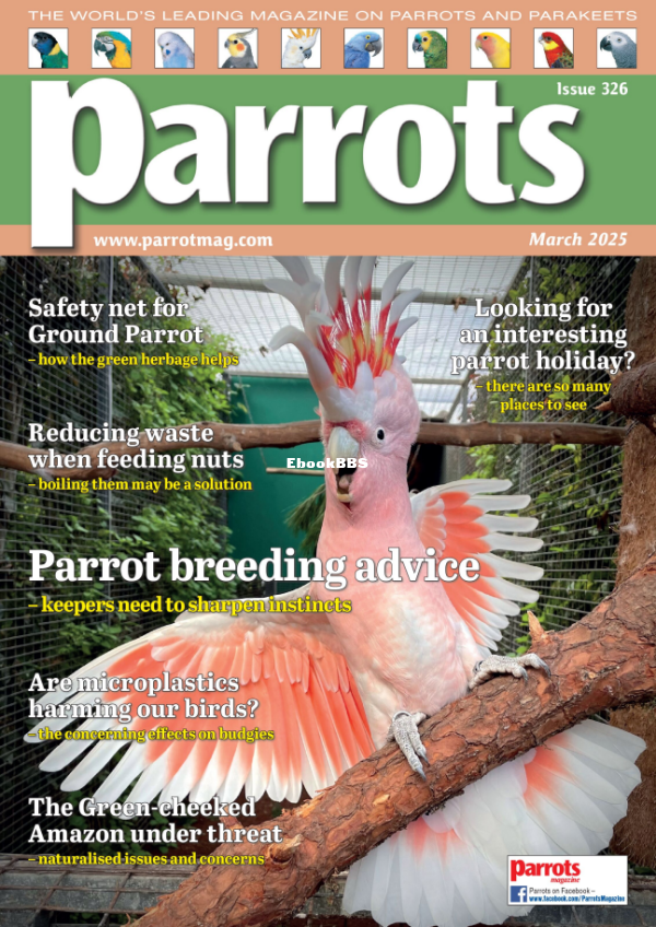 Parrots_-_March_2025 - 1.png