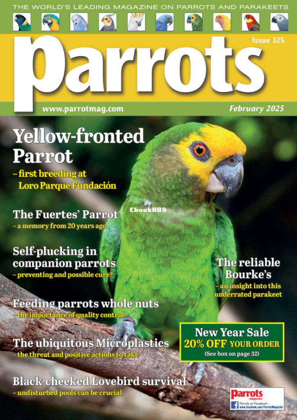 Parrots_-_February_2025 - 1.png