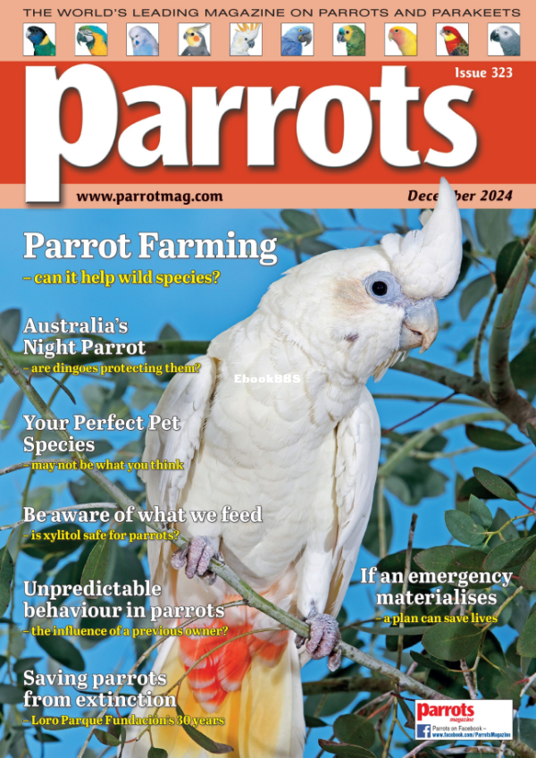 Parrots_-_Issue_323_December_2024_-_Parrots - 1.png