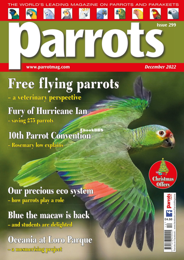 Parrots_-_Issue_299_December_2022_-_Parrots_Magazine - 1.png