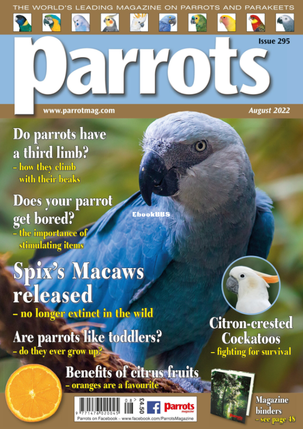 Parrots__August_2022 - 1.png