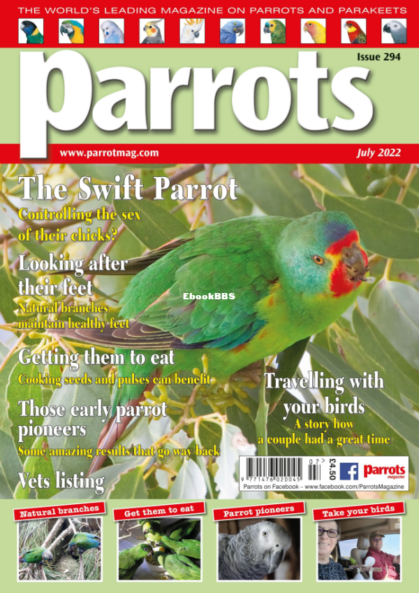 Parrots__July_2022 - 1.png
