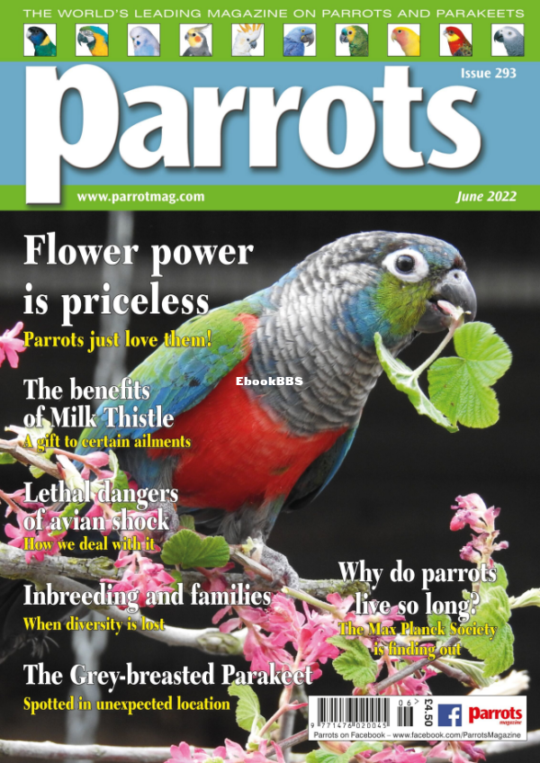 Parrots__May_2022 - 1.png