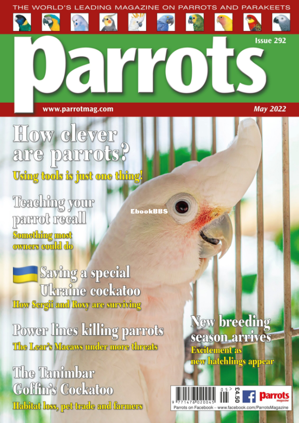 Parrots__May_2022 (1) - 1.png