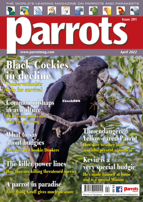 Parrots__April_2022 - 1.png
