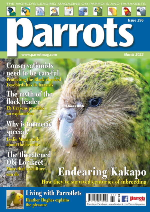 Parrots__March_2022 - 1.png